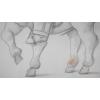 Fernando Botero - Uomo a cavallo - Tecnica mista su carta - foto 5
