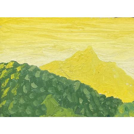 Salvo, Paesaggio, 1981, Olio su tela, 40.3 × 50.3 cm - foto 4