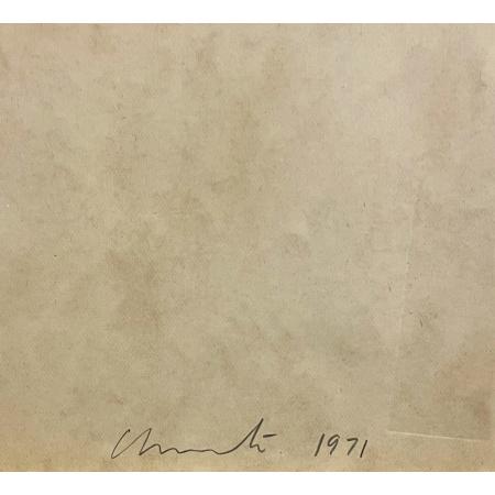 Christo, Package on Carozza, 1971, Tecnica mista su cartoncino, 56 x 71 cm - foto 6