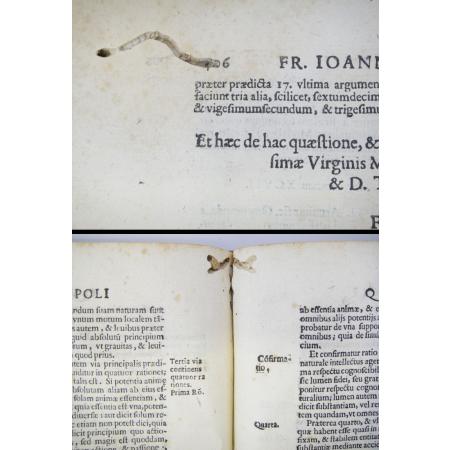 LIBRO ANTICO 1618 QUAESTIONES VARIAE PARISIIS DISPUTATAE TEOLOGIA - foto 4