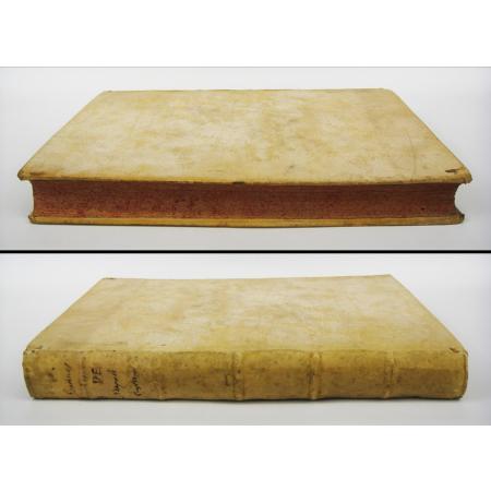 ANTIQUE BOOK 1618 QUAESTIONES VARIAE PARISIIS DISPUTATAE THEOLOGY - photo 9