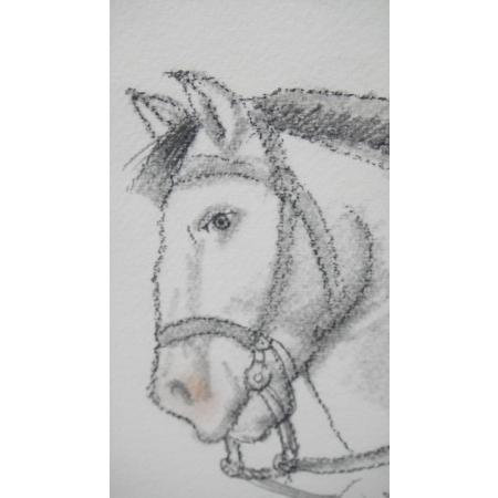Fernando Botero - Uomo a cavallo - Tecnica mista su carta - foto 10