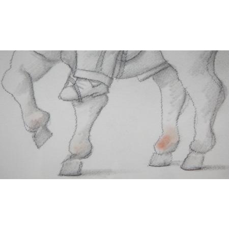 Fernando Botero - Uomo a cavallo - Tecnica mista su carta - foto 5